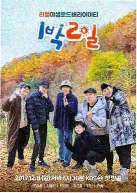 向往的小院慢综艺海报