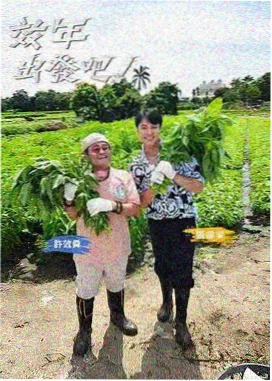 脱口秀新势力语言类综艺海报